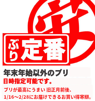 寒ぶり通販 壱岐から直送 寒ブリ屋の曽根